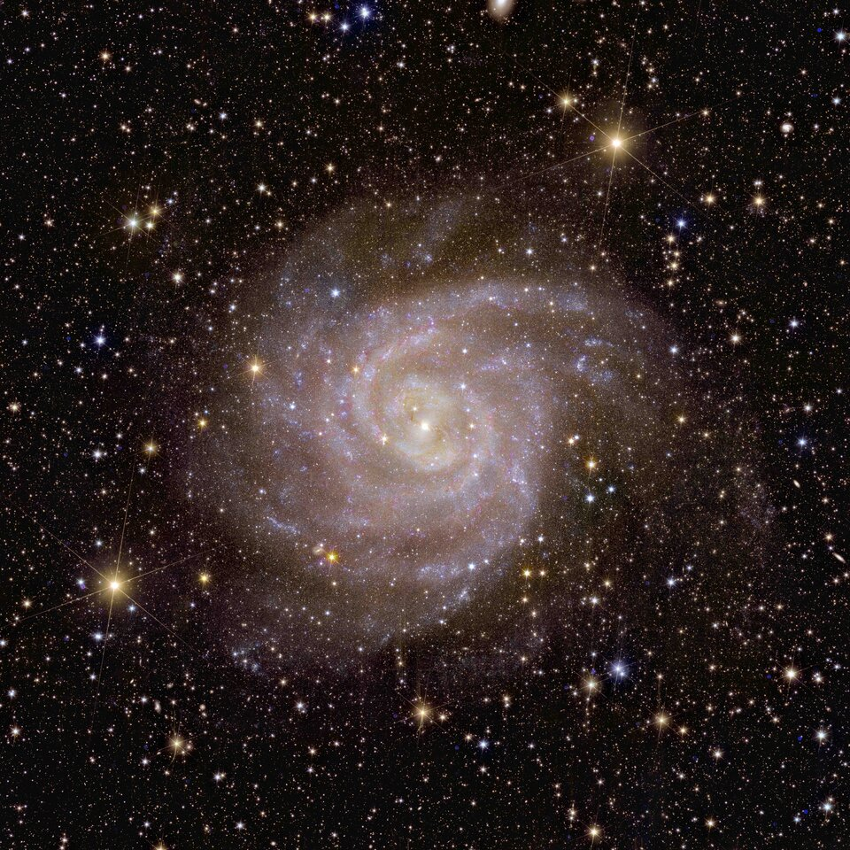 euclid galassia a spirale ic 342 2