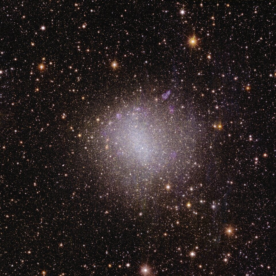euclid galassia irregolare ngc 6822