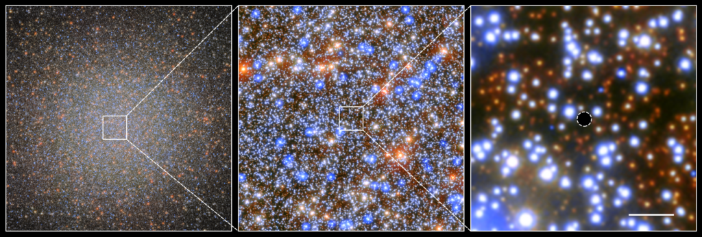 buco nero una immagine che mostra, da sinistra, progressivi ingrandimenti sull'ammasso stellare Omega Centauri. Nel pannello di destra, la zona circolare indica la regione dove dovrebbe essere situato il buco nero di massa intermedia. La barretta orizzontale in basso a destra del riquadro indica una lunghezza in scala di 0,1 anni luce. Crediti: ESA/Hubble & NASA, M. Häberle (MPIA)