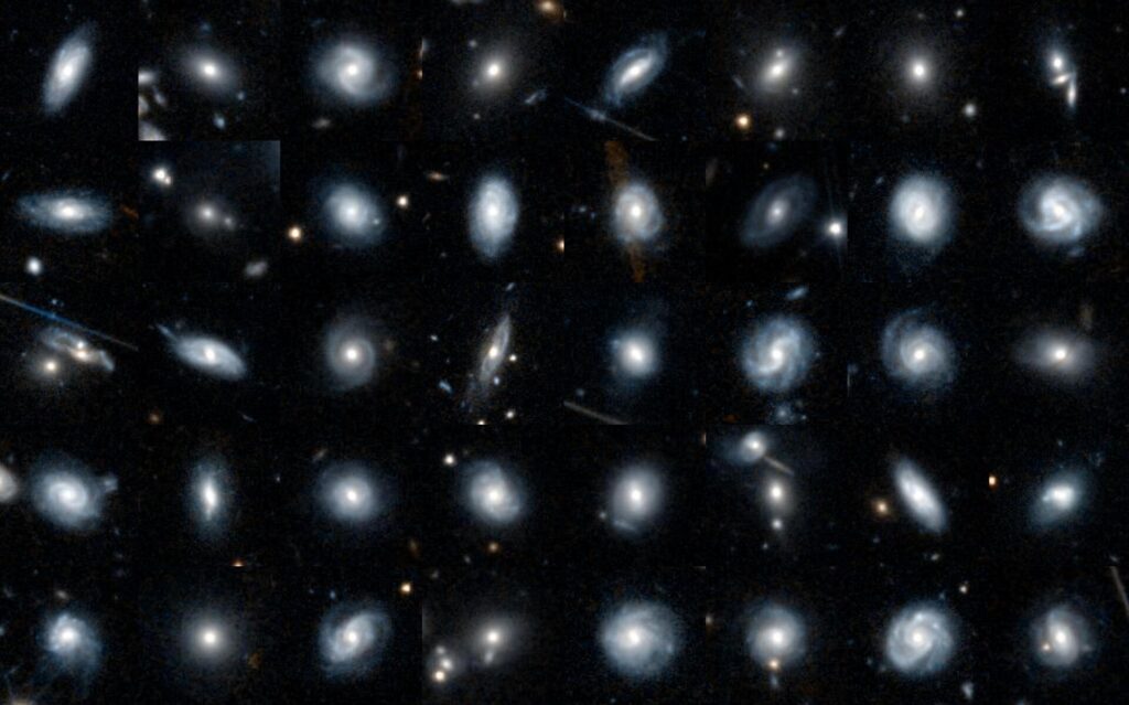 euclid galaxy zoo galaxies to classify pillars 1