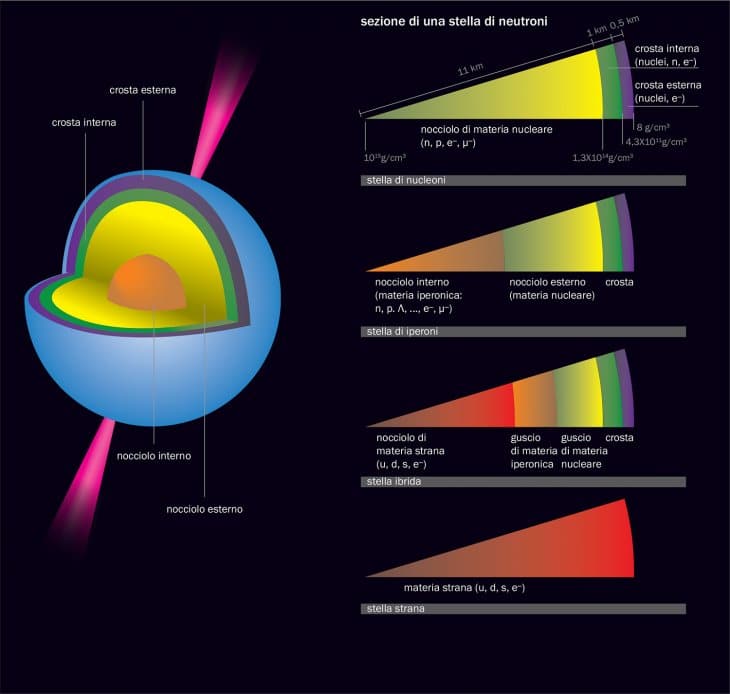 stelle di neutroni INFN_Asimmetrie36_A6 appresentazione in 3D di una stella di iperoni. A destra, struttura interna per i possibili tipi di stelle di neutroni descritti in questo articolo. I valori numerici riportati nella parte superiore della figura (stella di nucleoni) si riferiscono a una stella avente una massa di 1,5 volte la massa del Sole, usando nel calcolo della struttura stellare una moderna equazione di stato della materia nucleare.