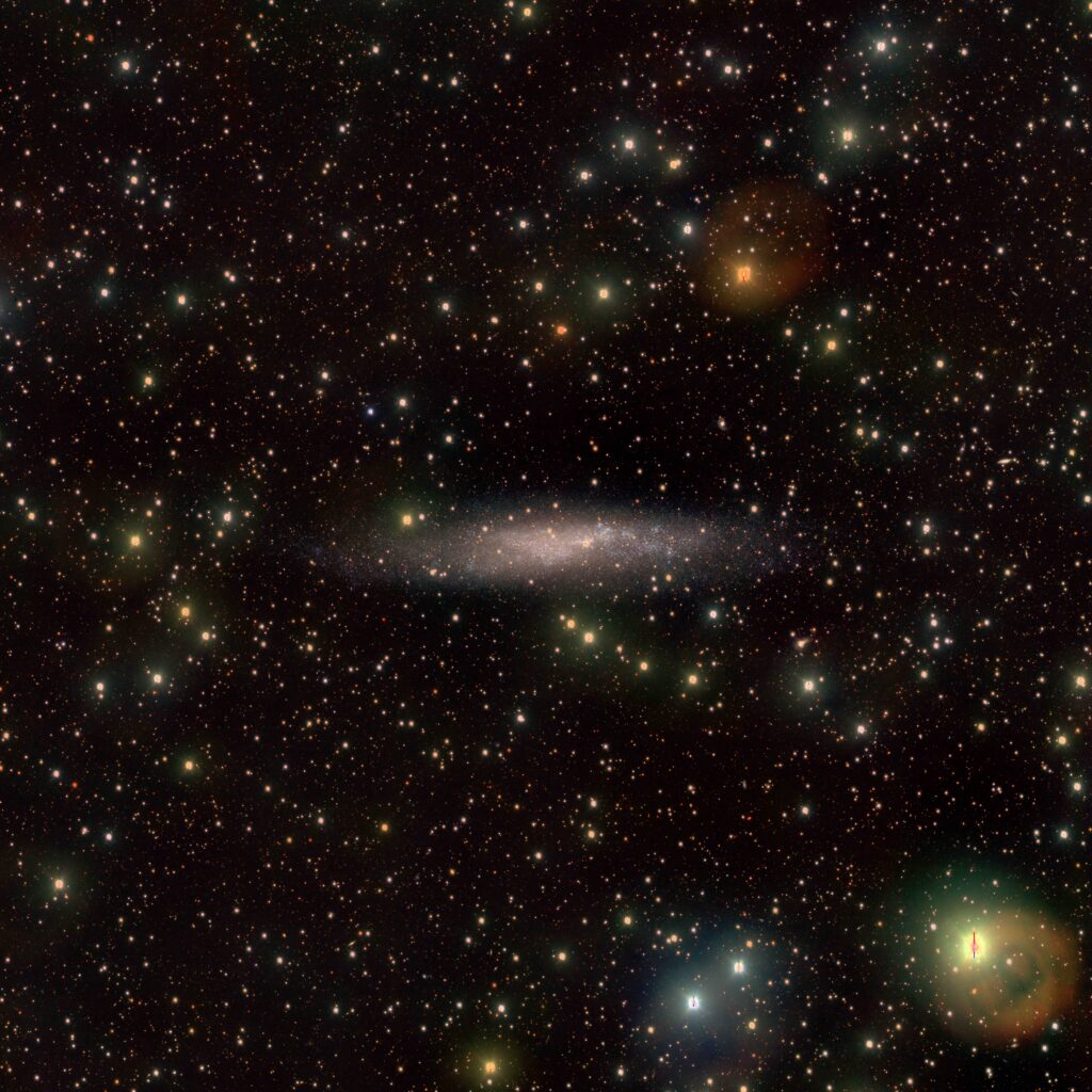 Immagine della galassia irregolare NGC 3109, che si trova a circa 4 milioni di anni luce da noi, ai confini del Gruppo Locale, ripresa dal telescopio italiano VST (VLT Survey Telescope) gestito dall’Istituto Nazionale di Astrofisica (INAF) presso l’Osservatorio ESO di Paranal, in Cile.

Crediti: INAF/VST-SMASH/C. Tortora et al. (2024)
